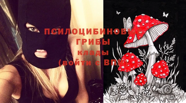 гидропоника Слюдянка
