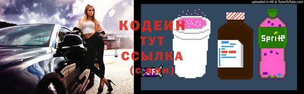 тгк Снежногорск