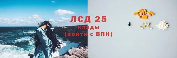 ПСИЛОЦИБИНОВЫЕ ГРИБЫ Алзамай